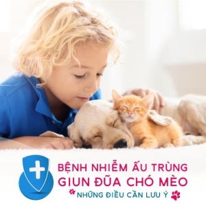 nhiem-giun-dua-cho-o-nguoi-nhan-biet-trieu-chung-va-phuong-phap-chuan-doan