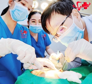 Khoa Cấp Cứu 24/7 Tại Phòng Khám Bác Sĩ Trịnh